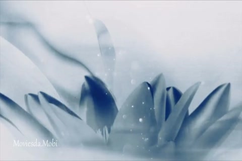 The Untamed Season 1 Episode 32 HD.mp4