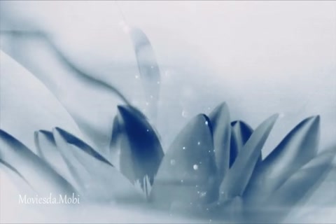 The Untamed Season 1 Episode 39 HD.mp4